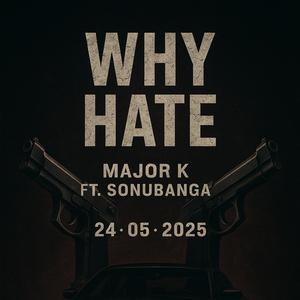 Why Hate (feat. sonubanga) (Explicit)