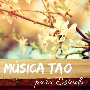 Música Tao para Estudo - Bem Estar e Treinamento da Mente, Equilíbrio Interior