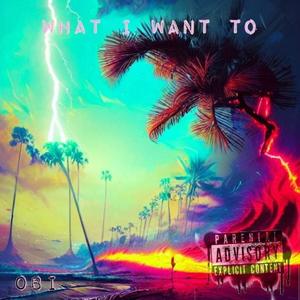 Do what I want (Explicit)