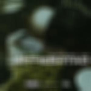 Arrebatao (Yo no soy un princeso) (feat. Airin) (Explicit)