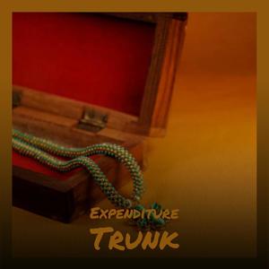 Expenditure Trunk