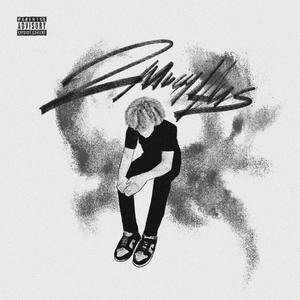 HAVIN2MUCHFUN (feat. BabyRED) (Explicit)