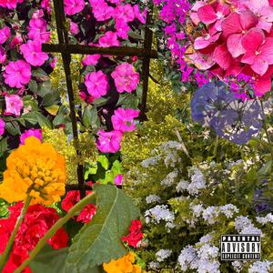 Head in the Clouds (feat. Gos) (Explicit)