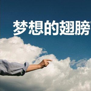 梦想的翅膀