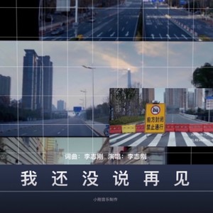 我还没说再见 (伴奏)