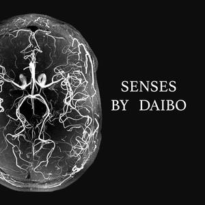 SENSES