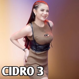 CiDRO 3