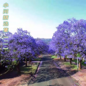 渡情缘封面