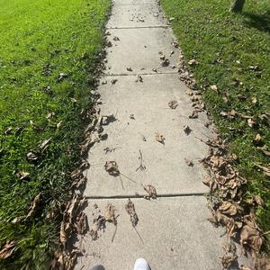 Long Distance (Explicit)