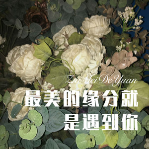 最美的缘分就是遇到你