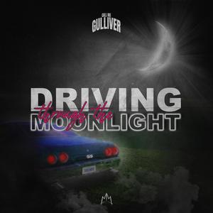 Driving Through The Moonlight