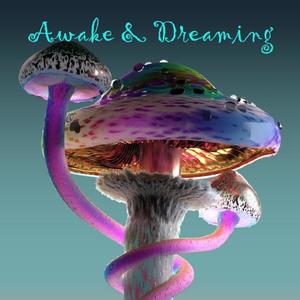 Awake & Dreaming