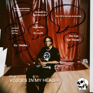 Voices in my head (Explicit)