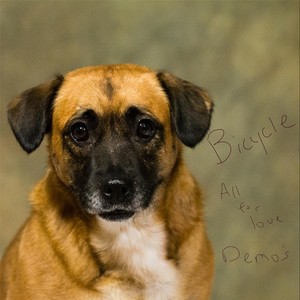 When the Sun Explodes