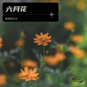 六月花 (伴奏)