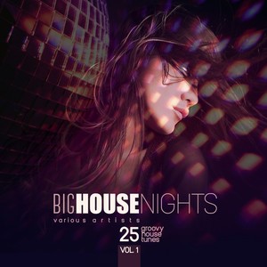 Big House Nights (25 Groovy House Tunes) , Vol. 1