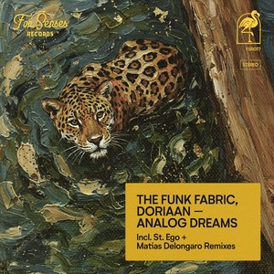 Analog Dreams (Matias Delongaro Remix)