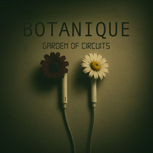 Whispering Your Name