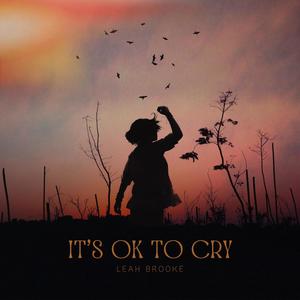 It's ok to Cry (feat. Mike Freeman)