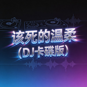 该死的温柔 (DJ卡碟版)封面