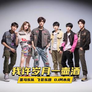 我许岁月一壶酒 (舞曲)