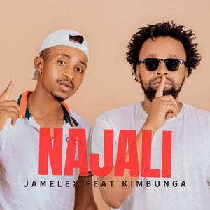 Najali (feat. Kimbunga) [Explicit]