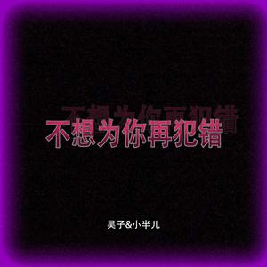 不想为你再犯错