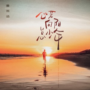 心若向阳总少年 (DJ豪大大版)封面