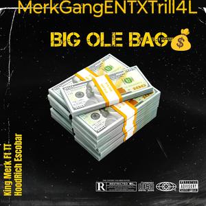 Big Ole Bag (Explicit)