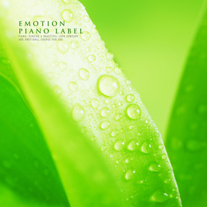 반짝이는 별빛과 함께 (With A Sparkling Starlight)