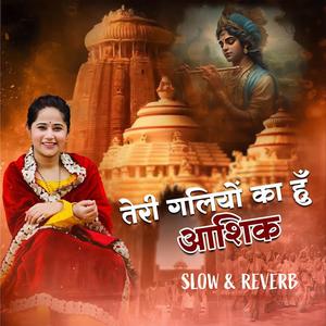 Teri Galiyon Ka Hu Aashiq (Slow Reverb)