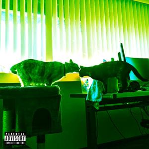 Cada Vez Que Me Levanto (Explicit)