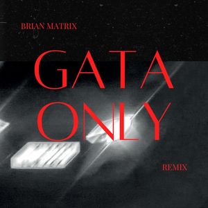 Gata Only (Brian Matrix Remix)