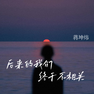 后来的我们终于不相关