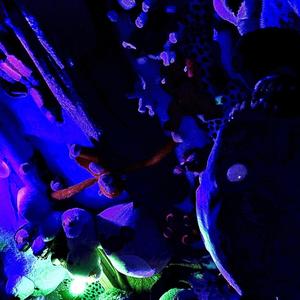 EasyOnMe (feat. Moon Valley Search Party) (Explicit)