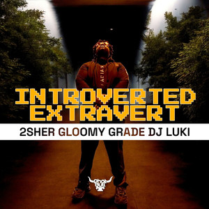 Introverted Extravert