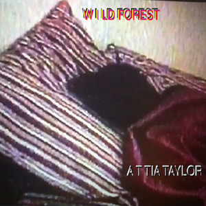 Wild Forest