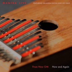 Now(feat. Valanga Khoza & Leo Dale)