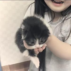 故事早就结束了