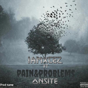 Pain & Problems (feat. Onsite) (Explicit)