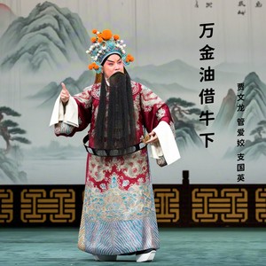 贾文龙 - 豫剧