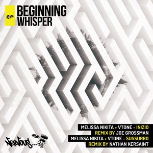 Beginning Whisper