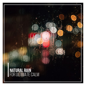 11 Natural Rain Storms for Ultimate Calm