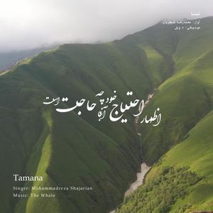 Tamana (Rework of M.R Shajarian)