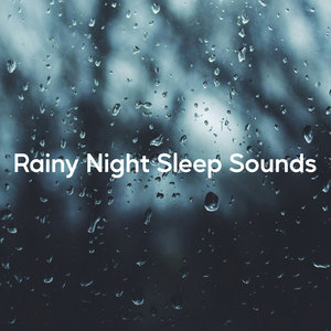 Peaceful Night Rain
