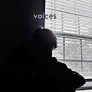 voices