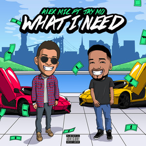 What I Need (Explicit)