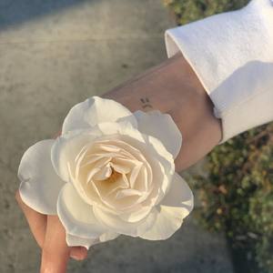 Like We Used To (Explicit)