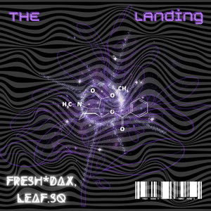 The Landing