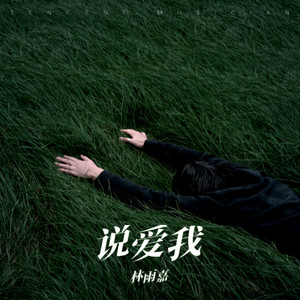 说爱我